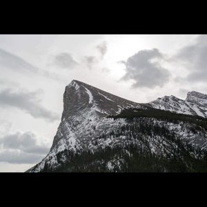 Meet your Posher, Liam